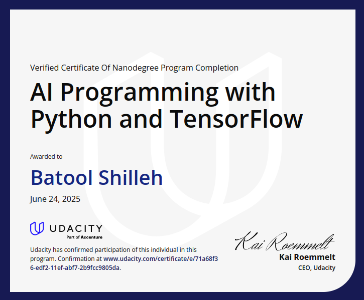 AI Programming Certificate