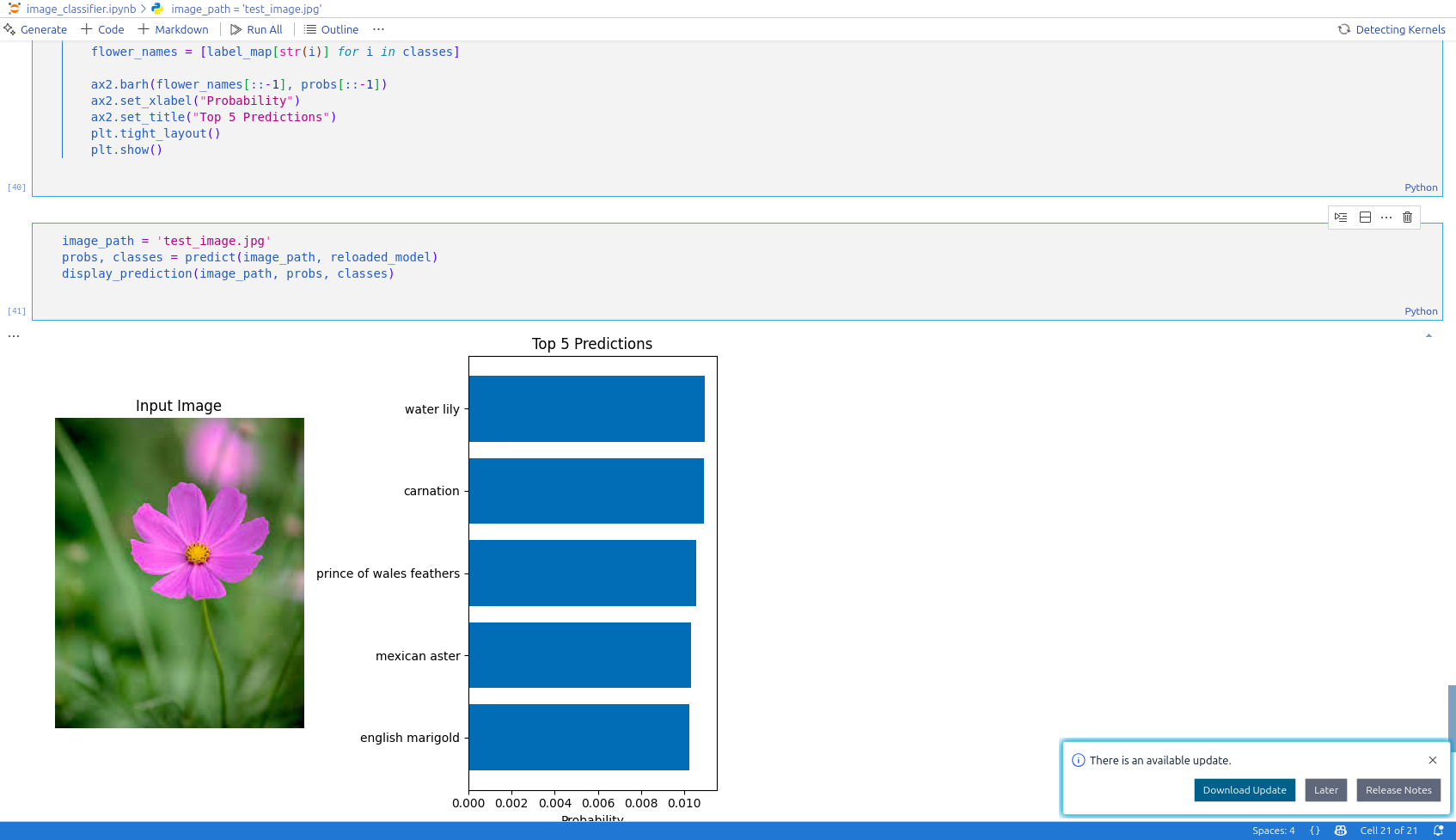Flower Classifier Project
